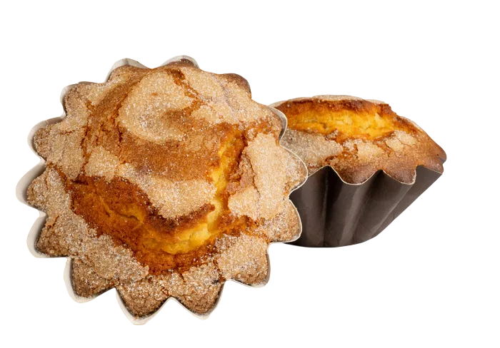 Bizochos de la abuela PAN REAL